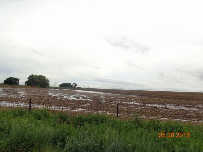 Heavy rain all night long DSC08610