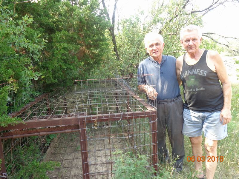 Wild Boar Trap DSC08923