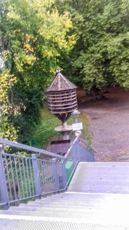 Panelak pro holuby, ha ,ha    20190927152701 152701