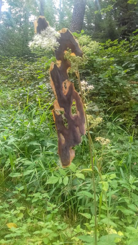 20190930135337 135337