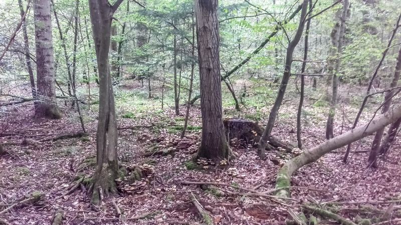 20191001115301 115301