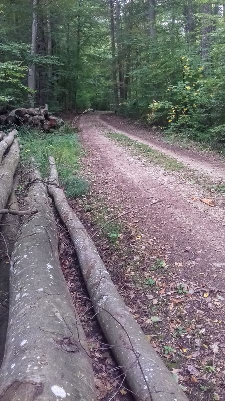 20191001121901 121901