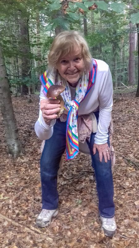 a je to hribek ...20191001130720 130721