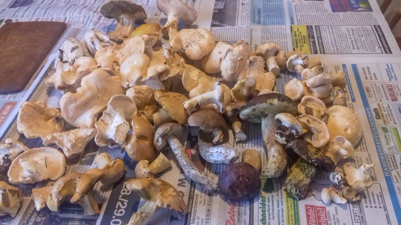 ...a bude smazenice!!!   !20191001141745 141745