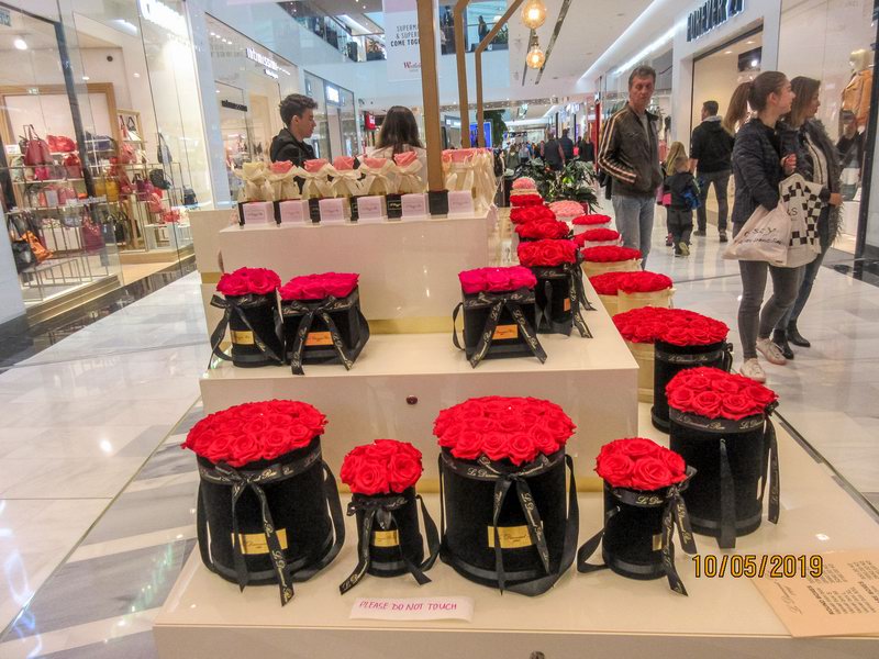 Zajimave,krasne ruze,vydrzi nejmene rok cerstve....20191005115526 6269