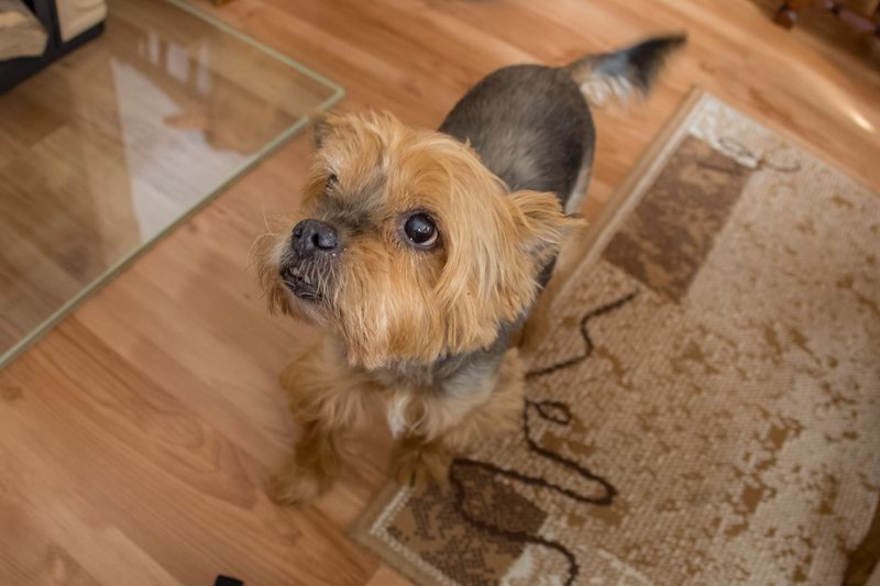 Karel , nebo take Charli...20191006143803 5919