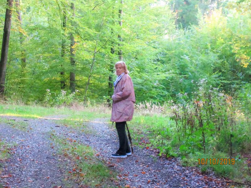 Opet krasne lesy...20191010181237 6390