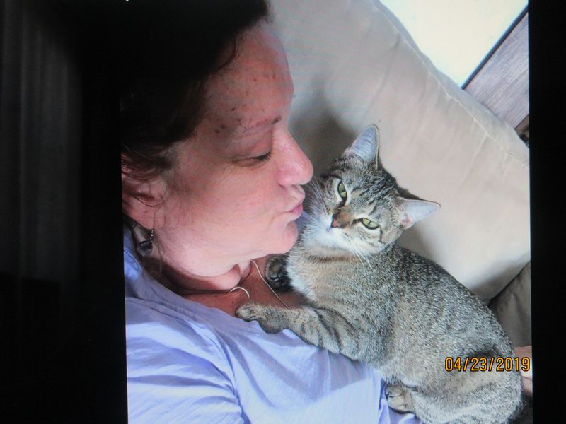 Hany kocicka Lily... IMG 0188