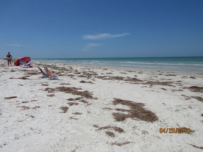 V noci byla hrozna bourka!! IMG 0191