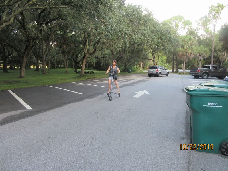 Lake Seminole Park IMG 6500