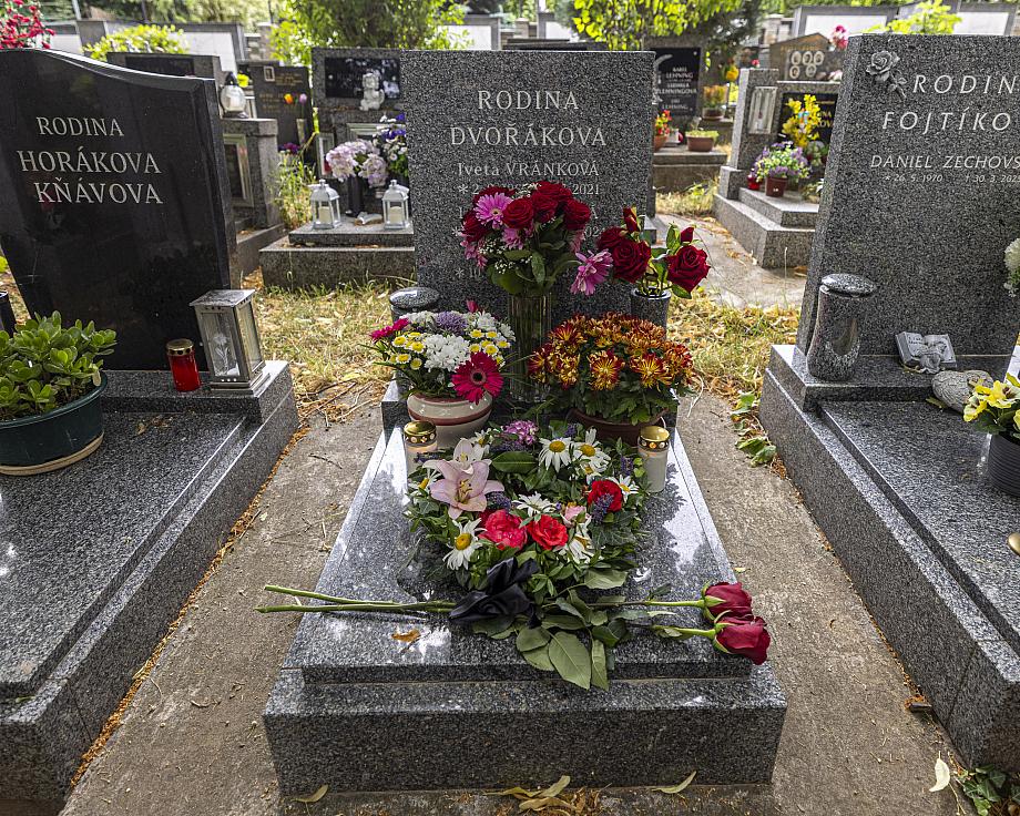 20250709142021-R5D 4624