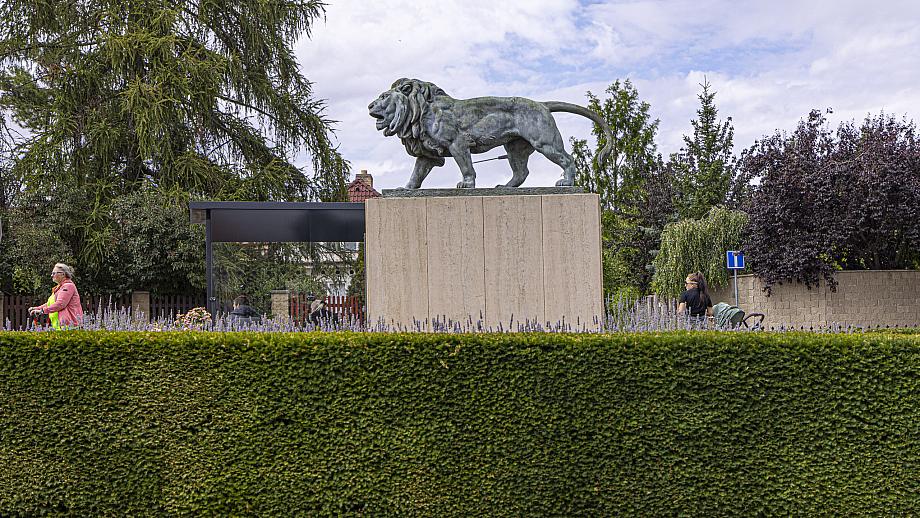 20250709144929-R5D 4713