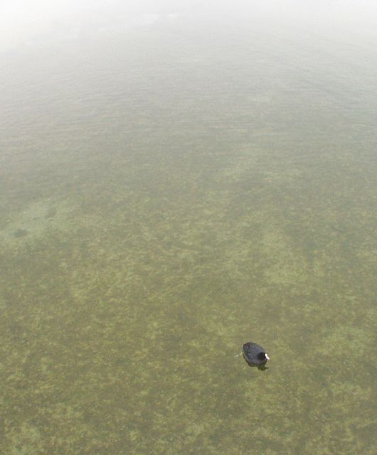 p0318678.jpg