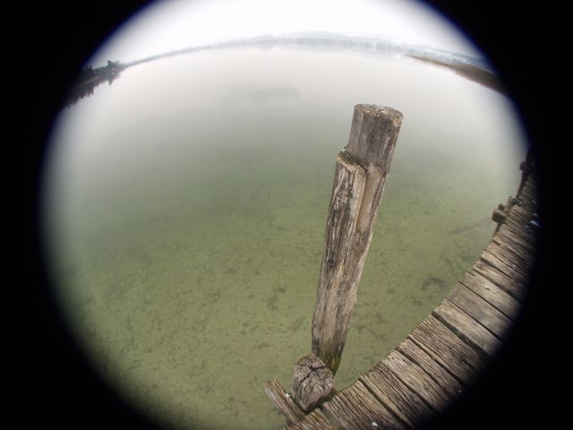 p1019011.jpg