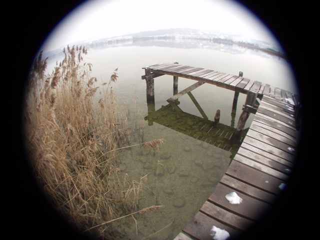 p1019031.jpg