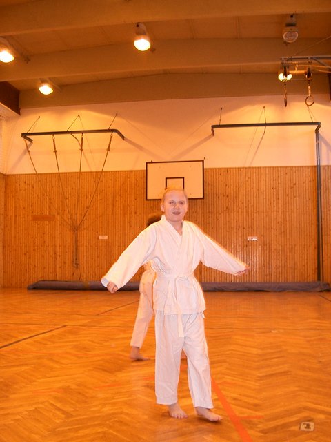 karate Nikolka 2004 001.jpg