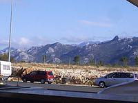 P1024715.JPG