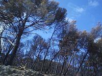 P1024719.JPG