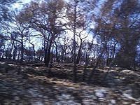 P1024721.JPG