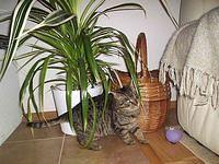 P1015037.JPG