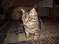 P1015051.JPG