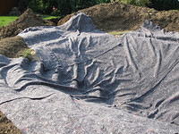 Jezirko 231