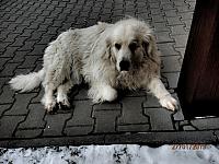 P1270115