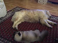 IMG 5297