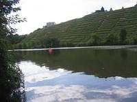 NECKAR RIVER, HOFEN IMG_1907.JPG