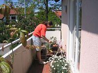 NEHREN, GERMANY RICHARD's and
GUDRUN's HOME IMG_0698.JPG