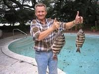SHEEPSHEAD IMG_3553.JPG