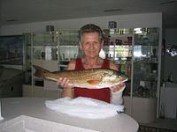 RED FISH IMG_4067.JPG