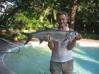 BABY TARPON IMG_3192.JPG