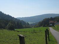 IMG 4584