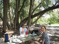 Lido Beach in Sarasota IMG 6607