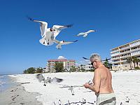 Indian Shores DSC00017