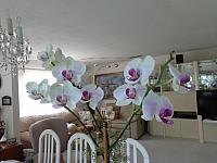 Neni krasna???? DSC00085