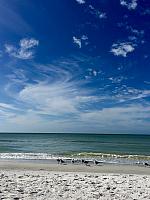 Indian Shores Beach Dec 6, 2015