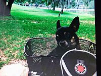 Vash s Hanickou sportuje!!!  Ha,ha...