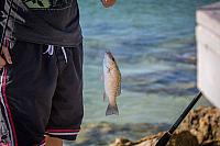 20160818084209 107362