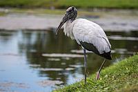 20160820143757 107497