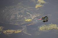 20160820143911 107528