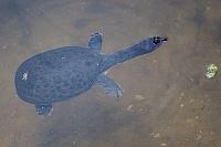 20160820144107 107560