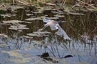 20160820144313 107588