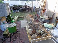 Delame jitrnice.9.4....DSC07850 Apr 9, 2017