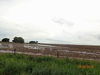 Heavy rain all night long DSC08610