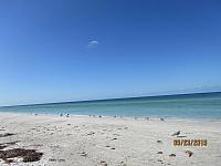 Gudrun ma hodne orchids...20190925053457 615