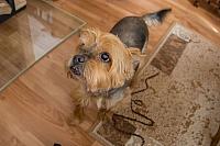 Karel , nebo take Charli...20191006143803 5919