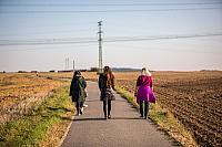 A jde se na prochazku okolo Dolnich Brezan...20191007164012 5046