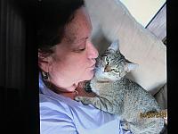 Hany kocicka Lily... IMG 0188
